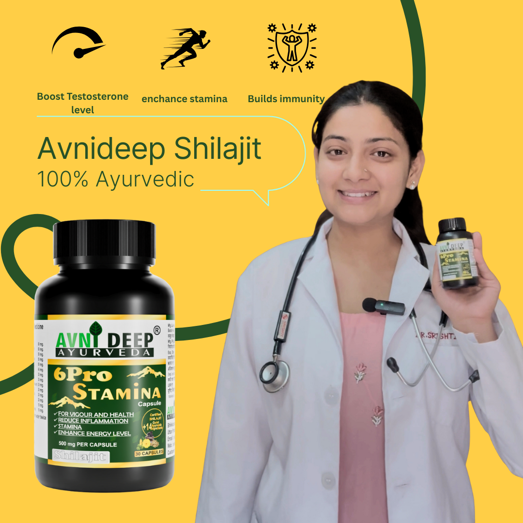 Avnideep Pure Shilajit Capsules – Ayurvedic Wellness Support | 30 Capsules